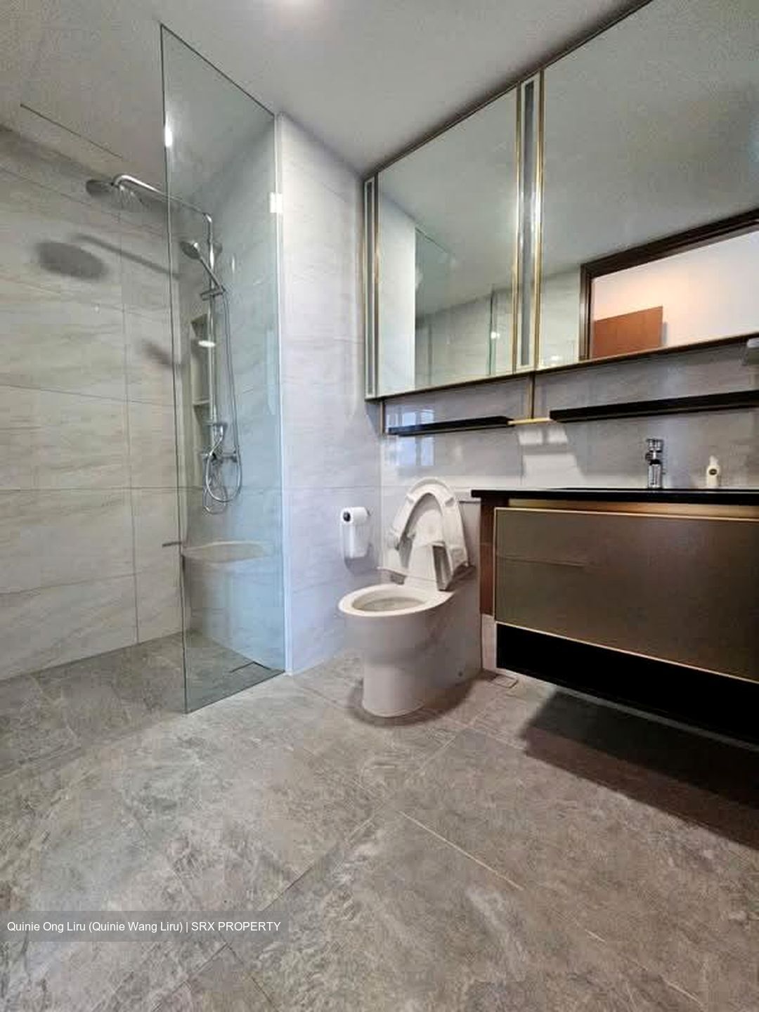 Normanton Park (D5), Apartment #563939041